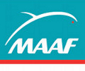 Maaf